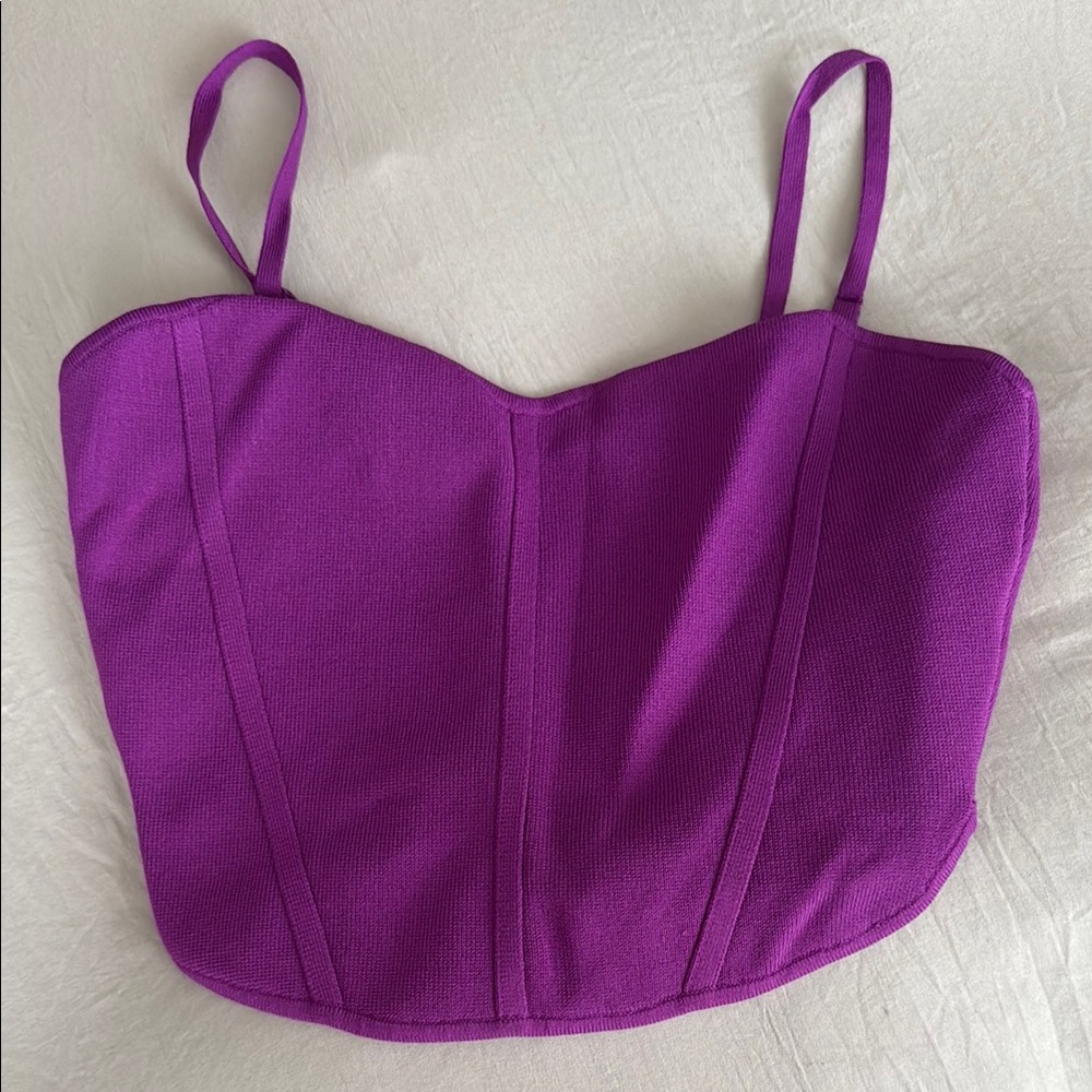 Aritzia Purple Crop Top